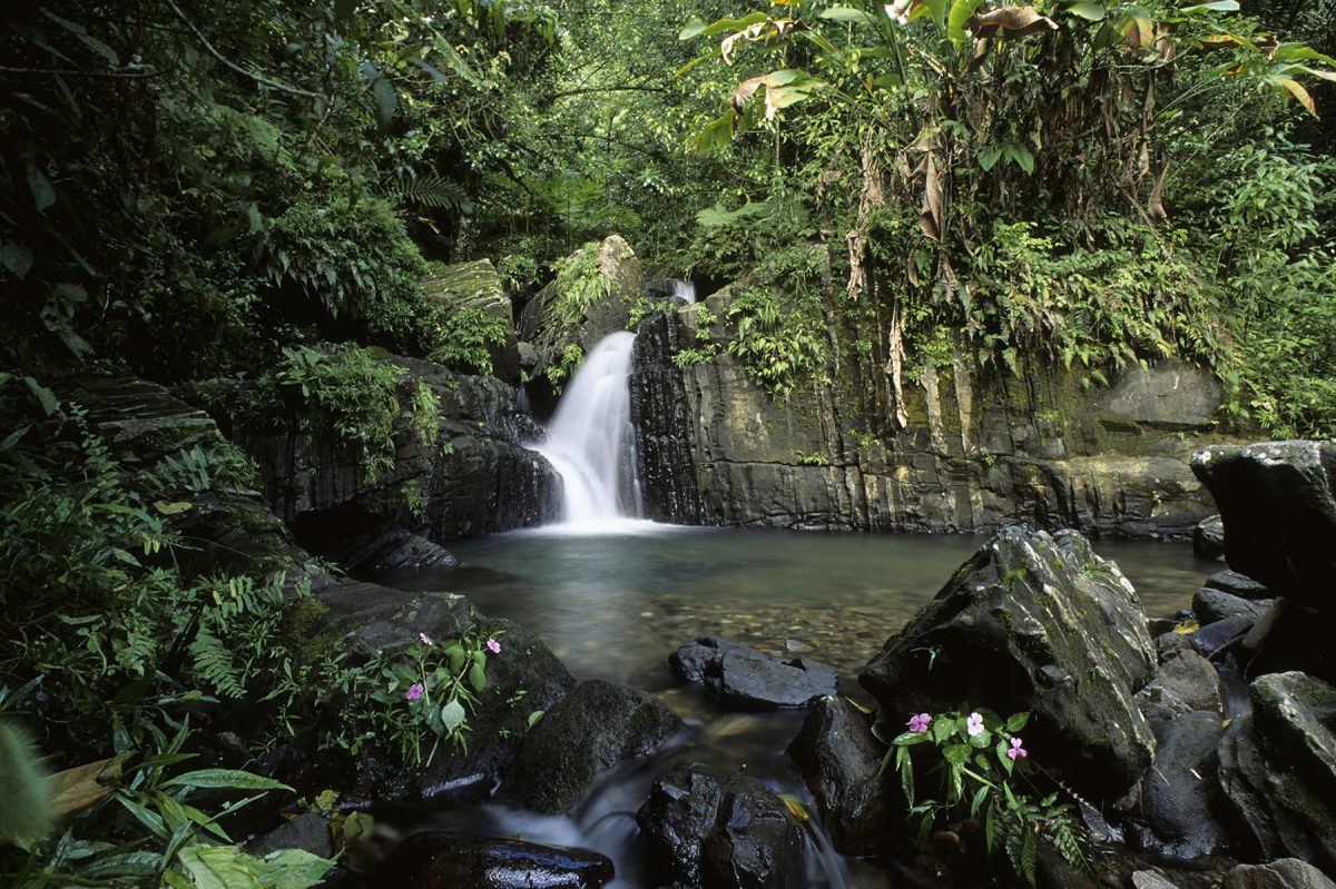 Visiting Puerto Ricos El Yunque National Park — Travelcoterie 9559